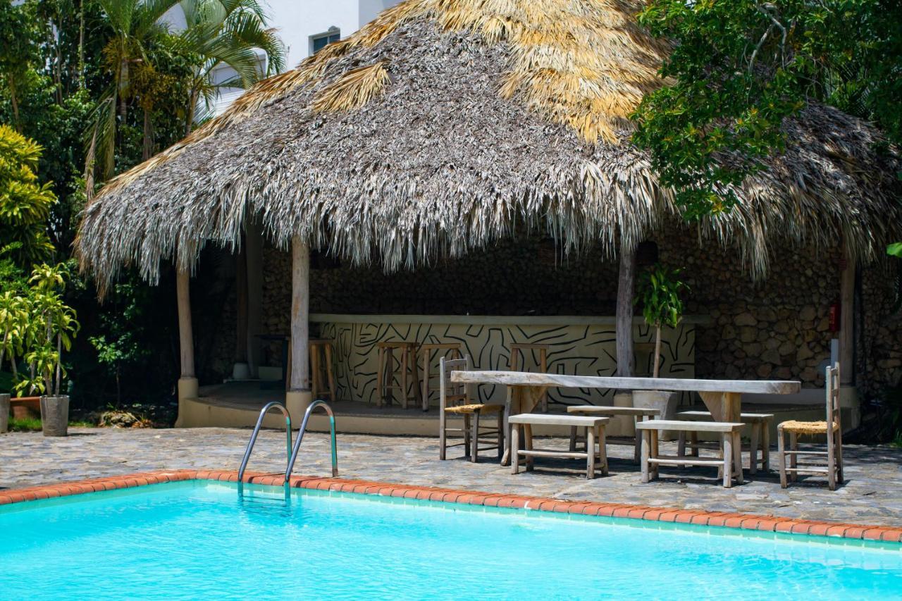 Afreeka Beach Hotel Las Terrenas Extérieur photo