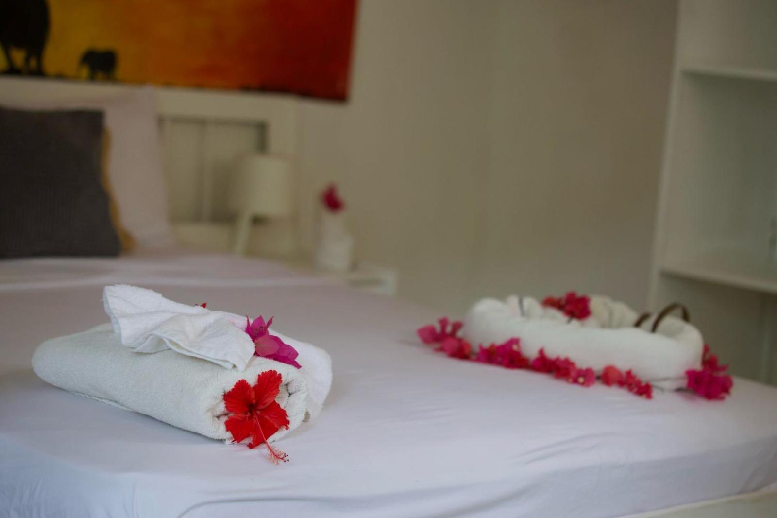 Afreeka Beach Hotel Las Terrenas Extérieur photo